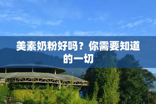 美素奶粉好吗?你需要知道的一切
