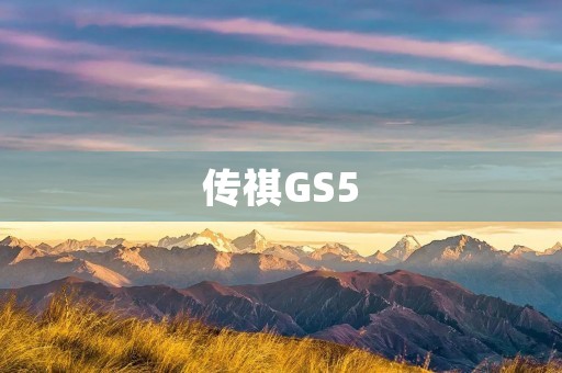 传祺GS5:品质与实力并存 传祺GS5:品质与实力并存