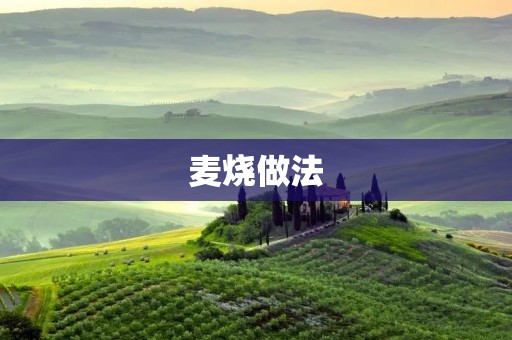 麦烧做法：让你一秒钟爱上这道美食