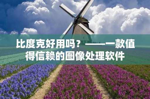 比度克好用吗?——一款值得信赖的图像处理软件