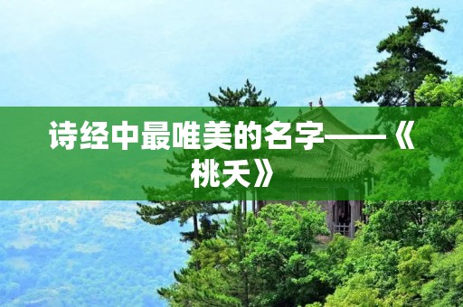 诗经中最唯美的名字——《桃夭》
