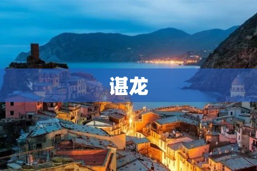 谌龙：中国羽毛球运动员的传奇故事