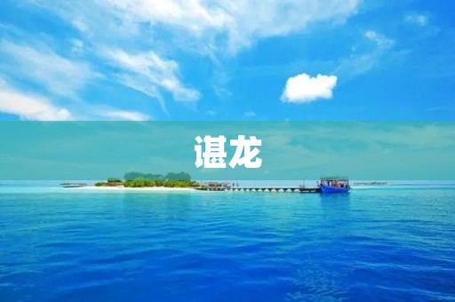 谌龙:中国羽毛球运动员 谌龙:中国羽毛球运动员