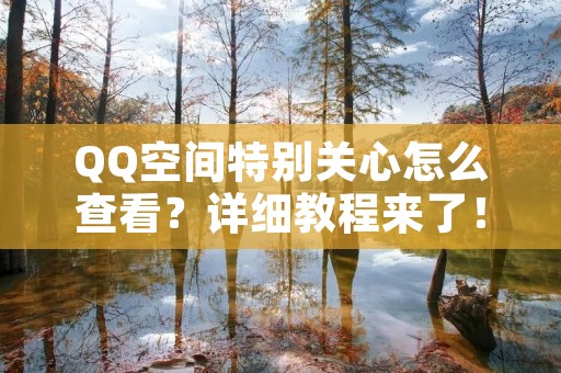 QQ空间特别关心怎么查看?详细教程来了!