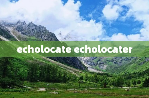 echolocate echolocater