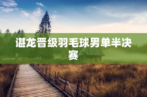 谌龙晋级羽毛球男单半决赛 谌龙晋级羽毛球男单半决赛