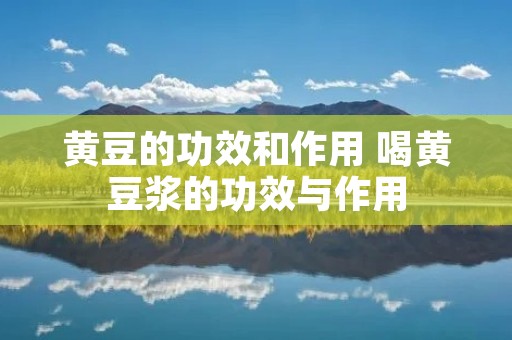 黄豆的功效和作用 喝黄豆浆的功效与作用