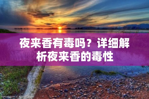 夜来香有毒吗?详细解析夜来香的毒性