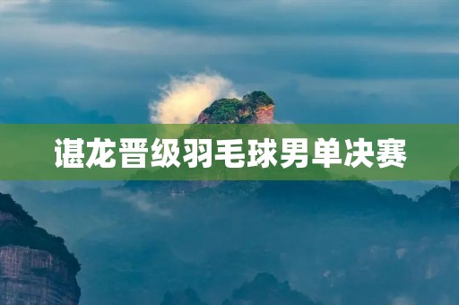 谌龙晋级羽毛球男单决赛：中国男单再次向世界发出强烈信号