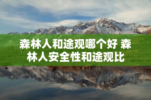森林人和途观哪个好 森林人安全性和途观比