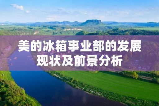 美的冰箱事业部的发展现状及前景分析