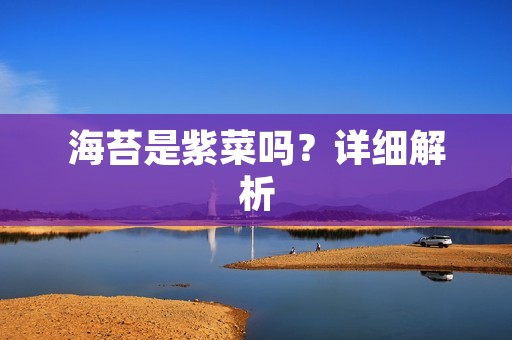 海苔是紫菜吗?详细解析