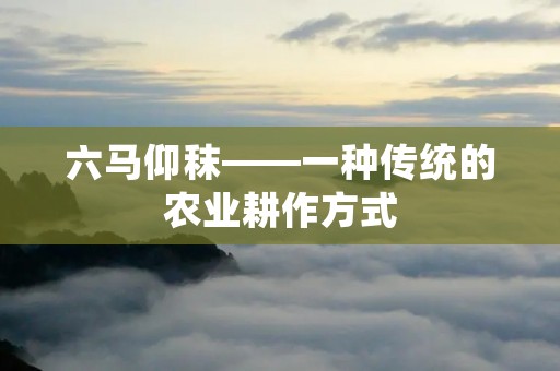 六马仰秣——一种传统的农业耕作方式