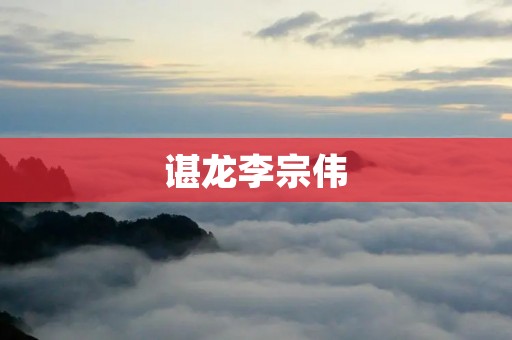 谌龙李宗伟：羽毛球世界的两大巨头