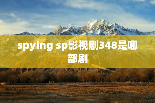spying sp影视剧348是哪部剧