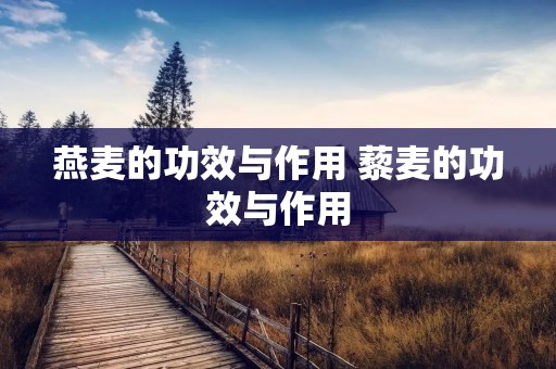 燕麦的功效与作用 藜麦的功效与作用