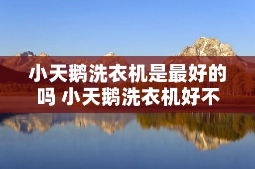 小天鹅洗衣机是最好的吗 小天鹅洗衣机好不好? 小天鹅洗衣机是最好的吗 小天鹅洗衣机好不好?