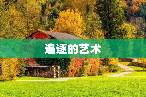 追逐的艺术:如何在追求中找到真正的自己