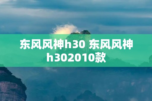 东风风神h30 东风风神h302010款