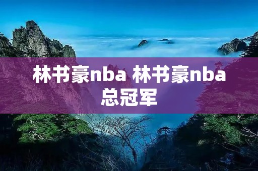 林书豪nba 林书豪nba总冠军