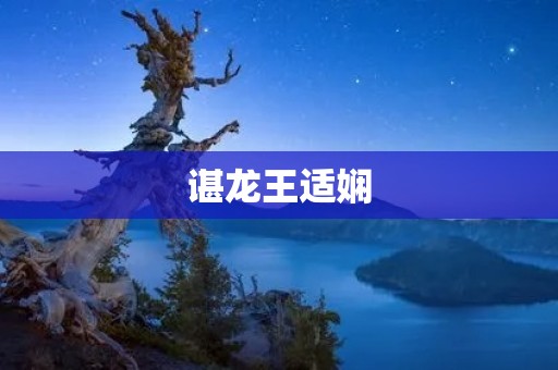谌龙王适娴:卓越羽毛球运动员的爱情故事 谌龙王适娴:卓越羽毛球运动员的爱情故事