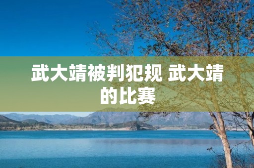 武大靖被判犯规 武大靖的比赛