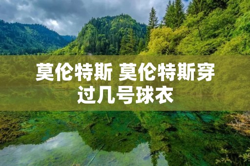 莫伦特斯 莫伦特斯穿过几号球衣