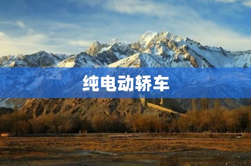 纯电动轿车:未来城市出行的新选择 纯电动轿车:未来城市出行的新选择