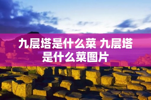 九层塔是什么菜 九层塔是什么菜图片 九层塔是什么菜 九层塔是什么菜图片