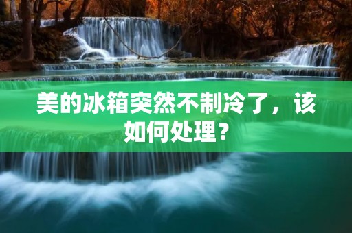 美的冰箱突然不制冷了，该如何处理？