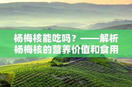 杨梅核能吃吗?——解析杨梅核的营养价值和食用方法