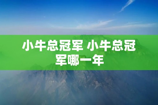 小牛总冠军 小牛总冠军哪一年