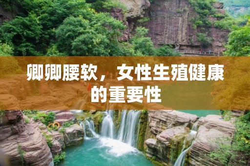 卿卿腰软，女性生殖健康的重要性