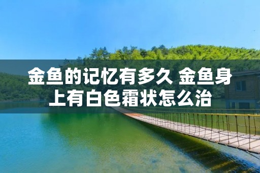 金鱼的记忆有多久 金鱼身上有白色霜状怎么治
