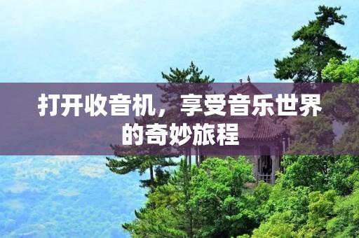 打开收音机，享受音乐世界的奇妙旅程