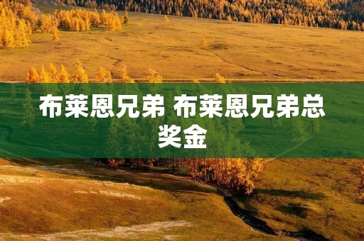 布莱恩兄弟 布莱恩兄弟总奖金 布莱恩兄弟 布莱恩兄弟总奖金