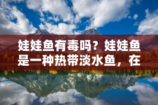 娃娃鱼有毒吗?娃娃鱼是一种热带淡水鱼,在中国也被称为“鬼魅鱼”或“鬼鱼”。由于其外形可爱,因此深受人们的喜爱。然而,有人认为娃娃鱼有毒,这是否属实呢?本文将对此进行详细探讨。