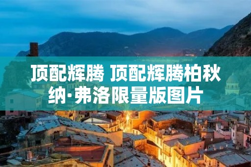 顶配辉腾 顶配辉腾柏秋纳·弗洛**版图片