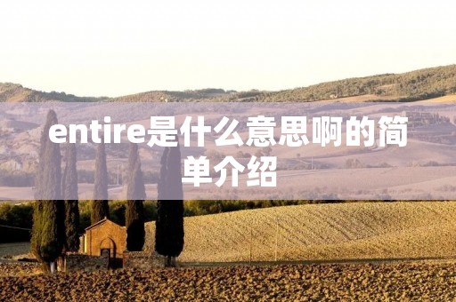 entire是什么意思啊的简单介绍