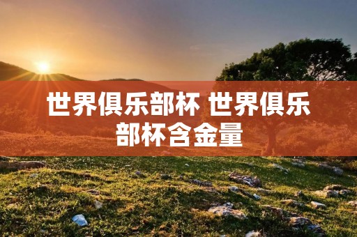 世界俱乐部杯 世界俱乐部杯含金量