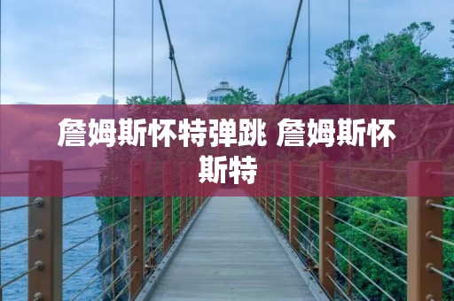 詹姆斯怀特弹跳 詹姆斯怀斯特 詹姆斯怀特弹跳 詹姆斯怀斯特