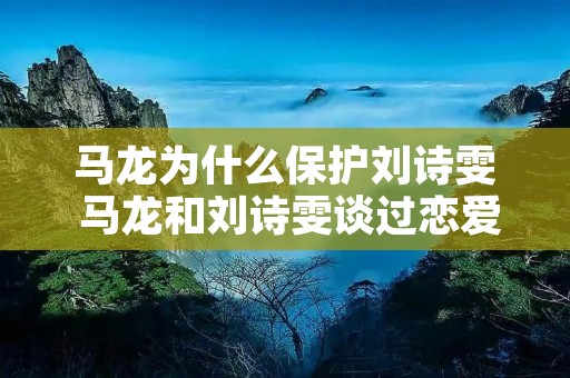 马龙为什么保护刘诗雯 马龙和刘诗雯谈过恋爱吗 马龙为什么保护刘诗雯 马龙和刘诗雯谈过恋爱吗