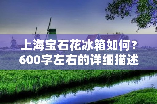 上海宝石花冰箱如何?600字左右的详细描述 上海宝石花冰箱如何?600字左右的详细描述
