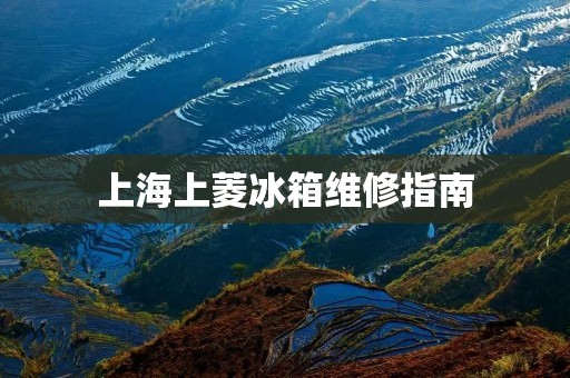 上海上菱冰箱维修指南：保障您的冰箱正常运行