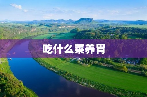 吃什么菜养胃：探索胃部健康的营养之道