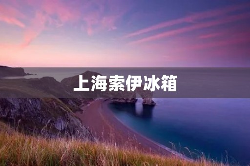 上海索伊冰箱:一款值得信赖的名牌家电 上海索伊冰箱:一款值得信赖的名牌家电
