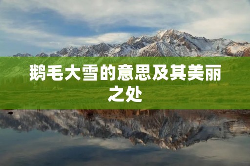 鹅毛大雪的意思及其美丽之处