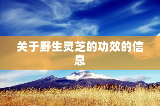 关于野生灵芝的功效的信息