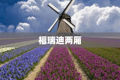 福瑞迪两厢:舒适驾乘体验的典范 福瑞迪两厢:舒适驾乘体验的典范
