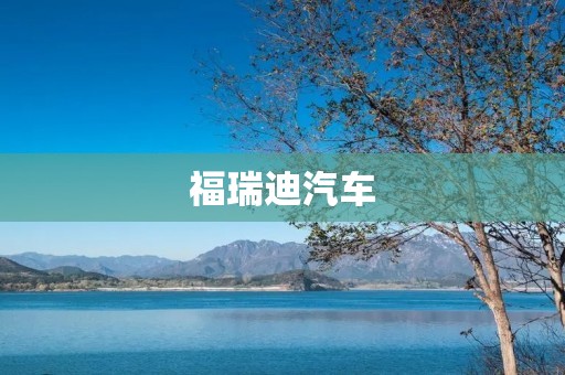 福瑞迪汽车:为你带来出色的驾驶体验 福瑞迪汽车:为你带来出色的驾驶体验